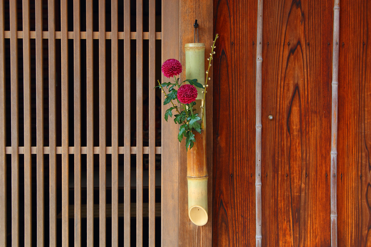 Mother's Day Gift Guide 2025