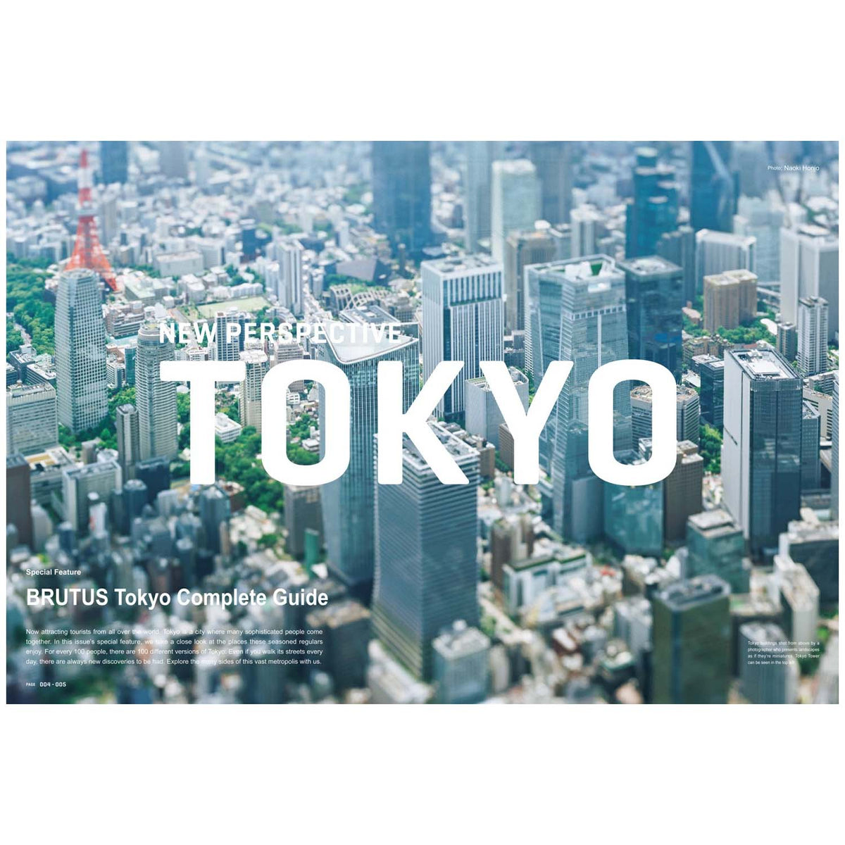 Brutus - New Perspective Tokyo