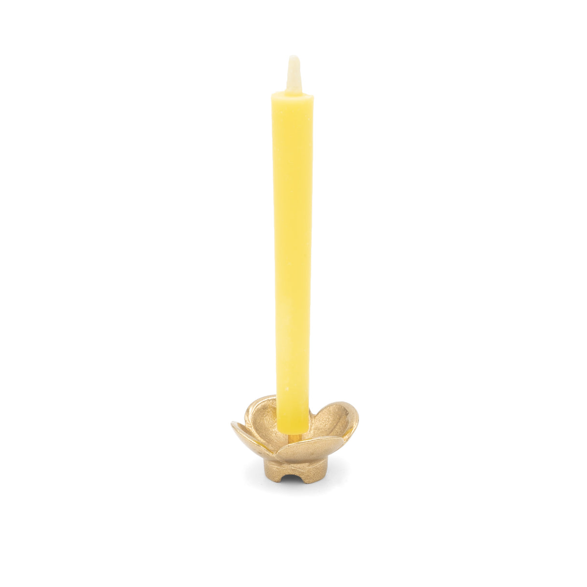 Nanohana Candle Stand