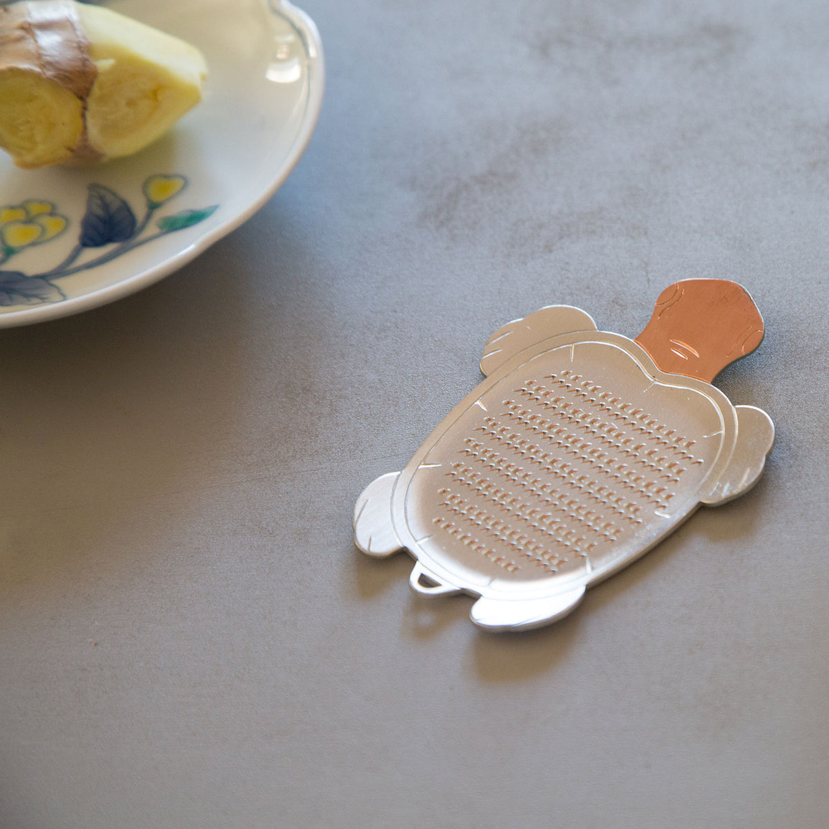 Turtle Grater