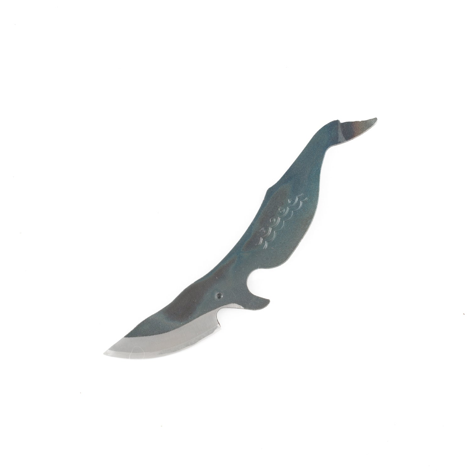 Minke Whale-Knife-Kujira Knife-JINEN